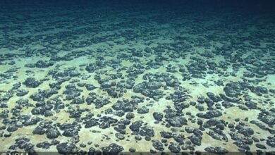 “Dark oxygen” from deep-sea metal nodules could mean reassessing the origin of life