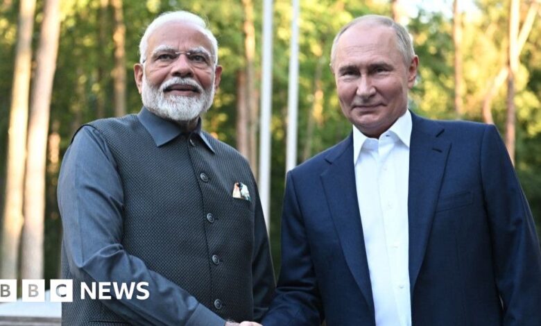 Indian Prime Minister balances the game when meeting Putin
