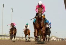 Paramount Prince, It's Time to Dazzle the Fun at Woodbine