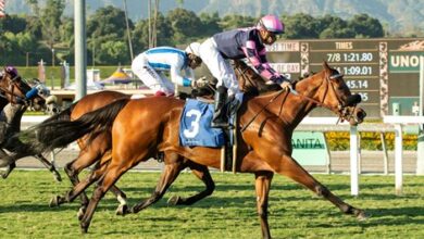 Lucky Girl Leads Inglis Digital USA's First Sales