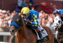 Baffert plans to run National Treasure at Whitney