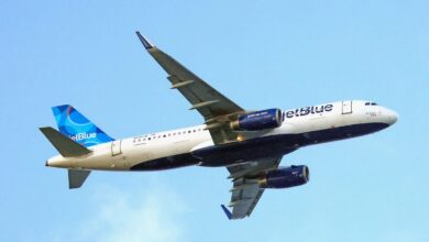 Passenger sues JetBlue claiming her stage 4 cancer returned after she wasn't allowed to fly with her French Bulldog