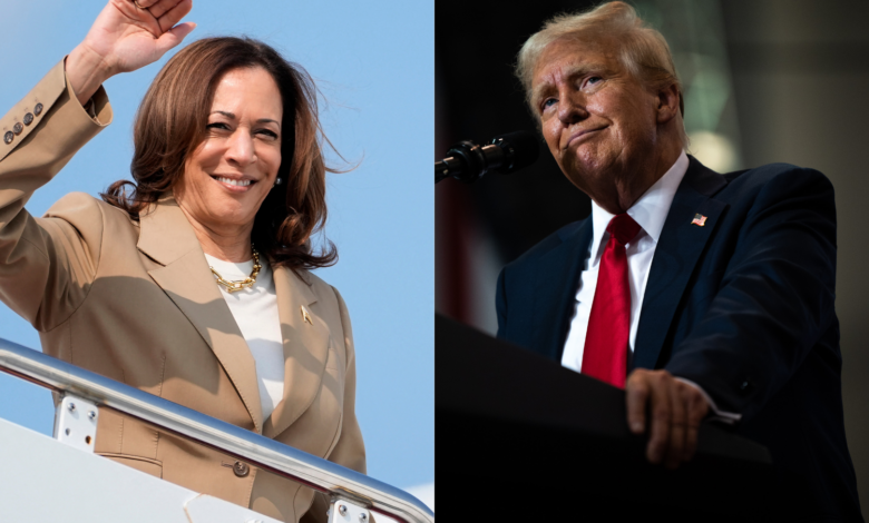 Kamala Harris Responds To Trump Questioning Her Blackness