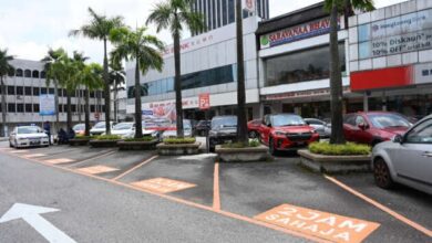 Free parking for EVs in cities being considered – Nga