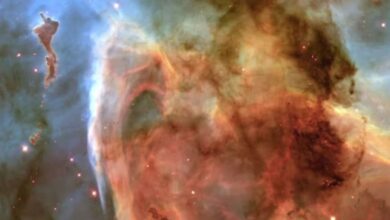 NASA's Chandra X-ray Observatory and James Webb Space Telescope Capture Stunning Images of the Orion Nebula, NGC 3627, and More