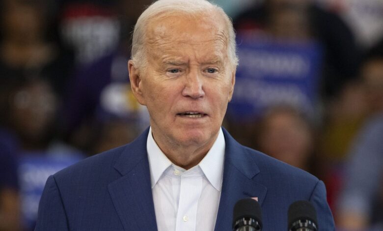 President Joe Biden Calls Out Donald Trump At Detroit Rally And Outlines His Strategy For 2024 Election