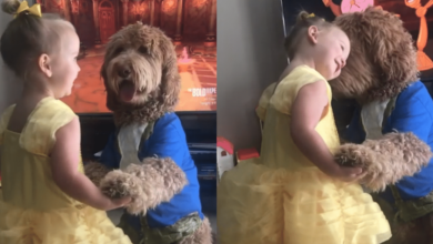 Little girl and her dog recreate the "Beauty and the Beast" dance in a lovely way