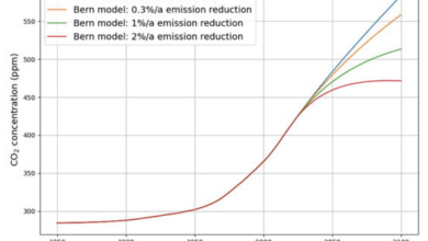 Implications of the Linear Carbon Sink Model