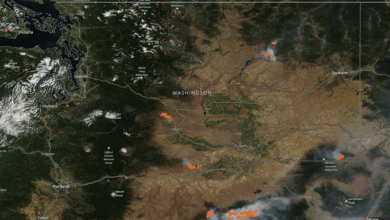 Wildfires in the Northwest are usually grass fires. Climate change is not a significant factor.