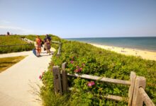 The Best Beach Hotels to Visit in the USA