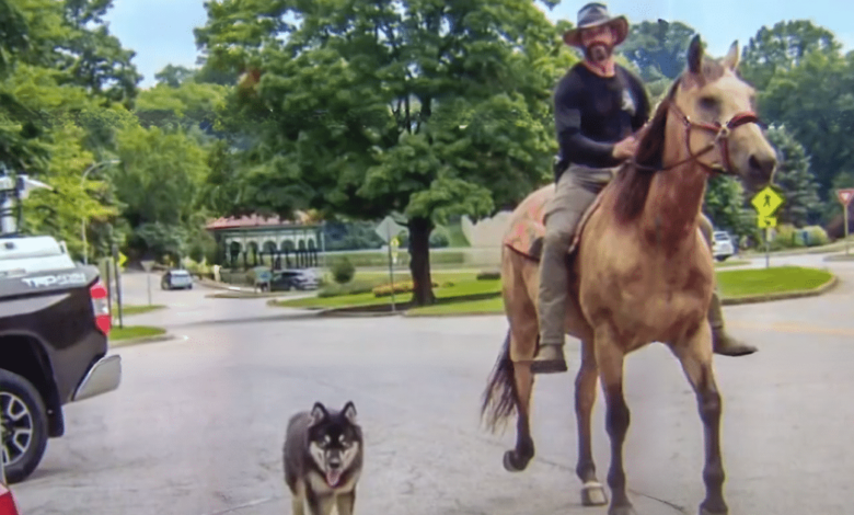 Marine veteran's cross-country trip with dog and horse to raise awareness about PTSD