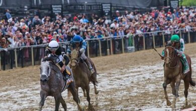 Plans are underway to celebrate Preakness 150 with a Festival
