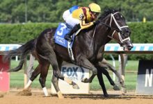 Emery Relentless will catch Mystic Lake in Victory Ride