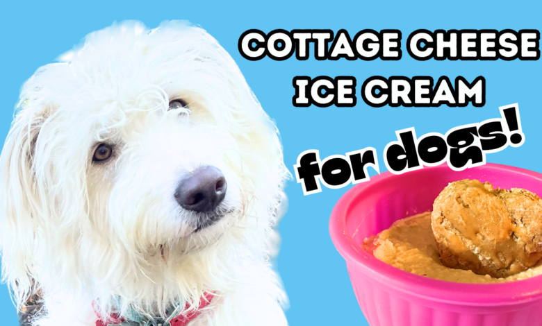 Cottage Cheese Cream Recipe for Dogs