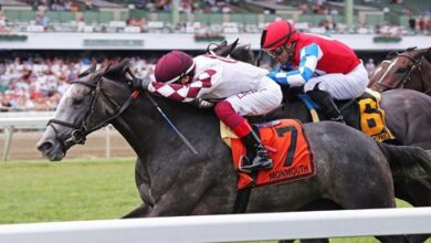 Beaute Cachee's Class Wins Matchmaker Stakes