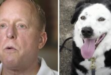 The man was told he only had five years to live, so he went to a shelter and asked for a 'middle-aged, obese dog'