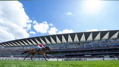 BetMGM Expands Sponsorship Support at Ascot Racecourse