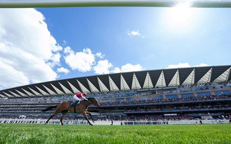 BetMGM Expands Sponsorship Support at Ascot Racecourse