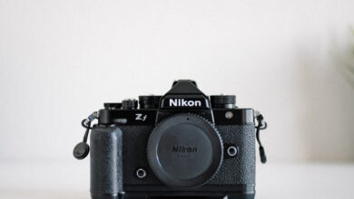 Nikon Zf: First Impressions from a Sony User