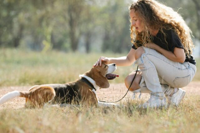 15 Dog Breeds That Form Inseparable Bonds With Their Owners