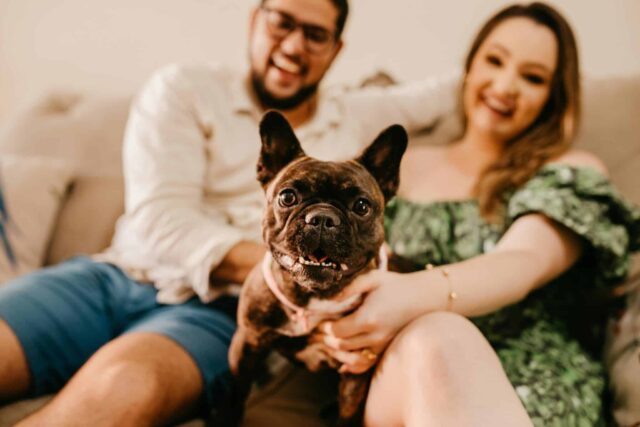 Top 12 Dog Breeds for Married Couples