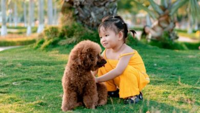 10 Best Dog Breeds for Children with Autism