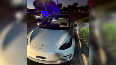 Tesla driver fined for treating suburban roads like highways