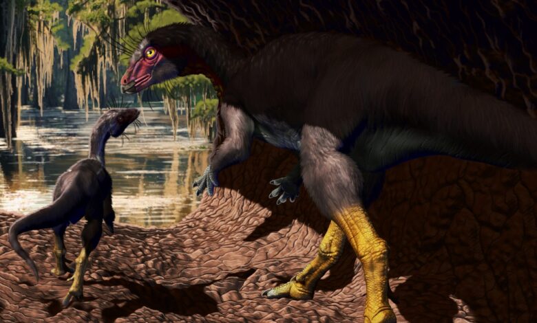 A newly discovered dinosaur species may have spent part of its life underground: NPR