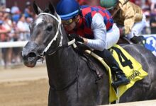 Three Chimneys' Volatile Gets Off to a Good Start at Saratoga