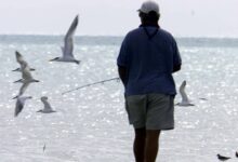 Tropical Storm Debby moves across the Gulf toward Florida