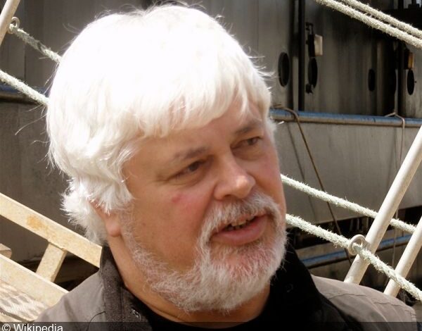 Sea Shepherd founder Captain Paul Watson faces Greenland detention hearing