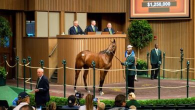 Keeneland releases September yearling sale catalog