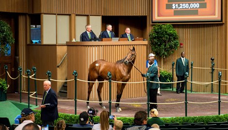 Keeneland releases September yearling sale catalog