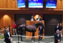Not this time Colt tops first day of Saratoga sales