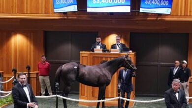 Not this time Colt tops first day of Saratoga sales