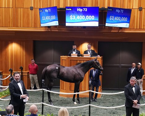 Not this time Colt tops first day of Saratoga sales