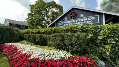 Excitement builds ahead of Fasig-Tipton Saratoga sale