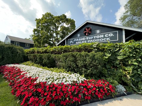 Excitement builds ahead of Fasig-Tipton Saratoga sale