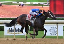 Queens MG Seeks Second Win at Saratoga in Adirondack