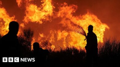 People evacuated as wildfire spreads near Athens