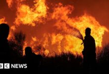 People evacuated as wildfire spreads near Athens