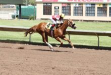 American Cherub is the first winner of American Anthem