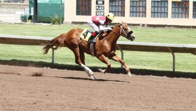 American Cherub is the first winner of American Anthem