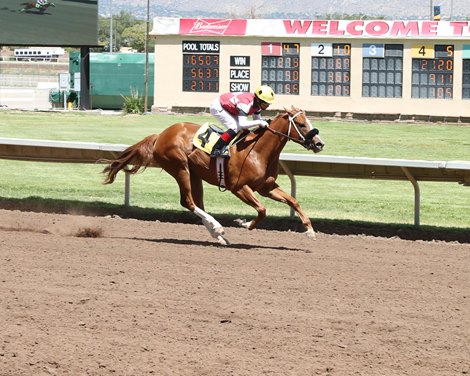 American Cherub is the first winner of American Anthem