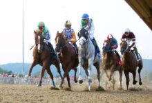 Dragoon Guard 'solid' in win at West Virginia Derby