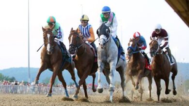 Dragoon Guard 'solid' in win at West Virginia Derby