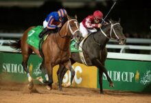 Maximum Security eliminated from Saudi Cup 2020