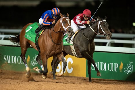 Maximum Security eliminated from Saudi Cup 2020