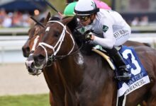 Fasig-Tipton's Flash Sale Produces Great Results