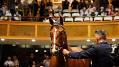 Records broken at Saratoga Select yearling auction